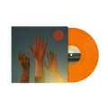 BOYGENIUS - The Record