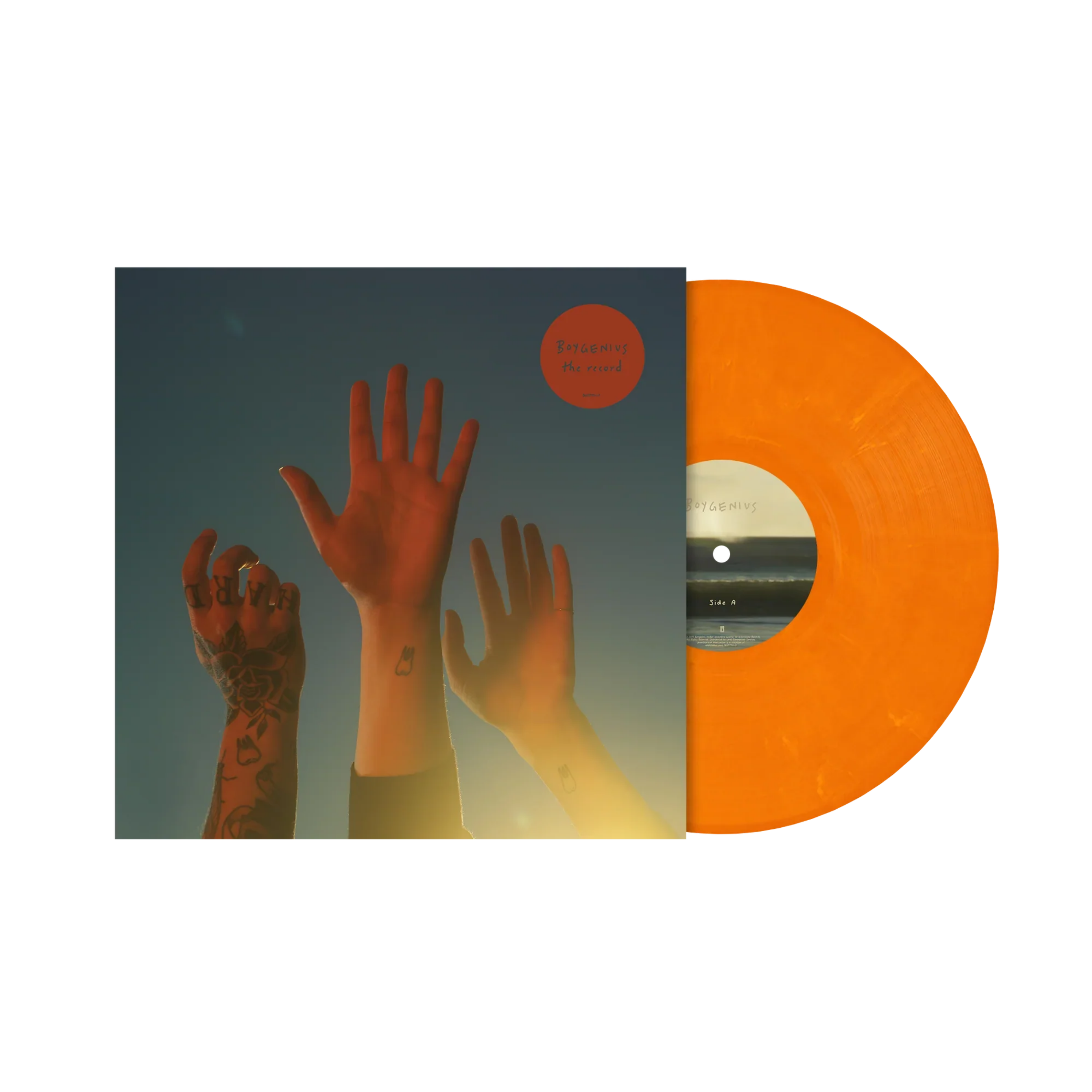 BOYGENIUS - The Record