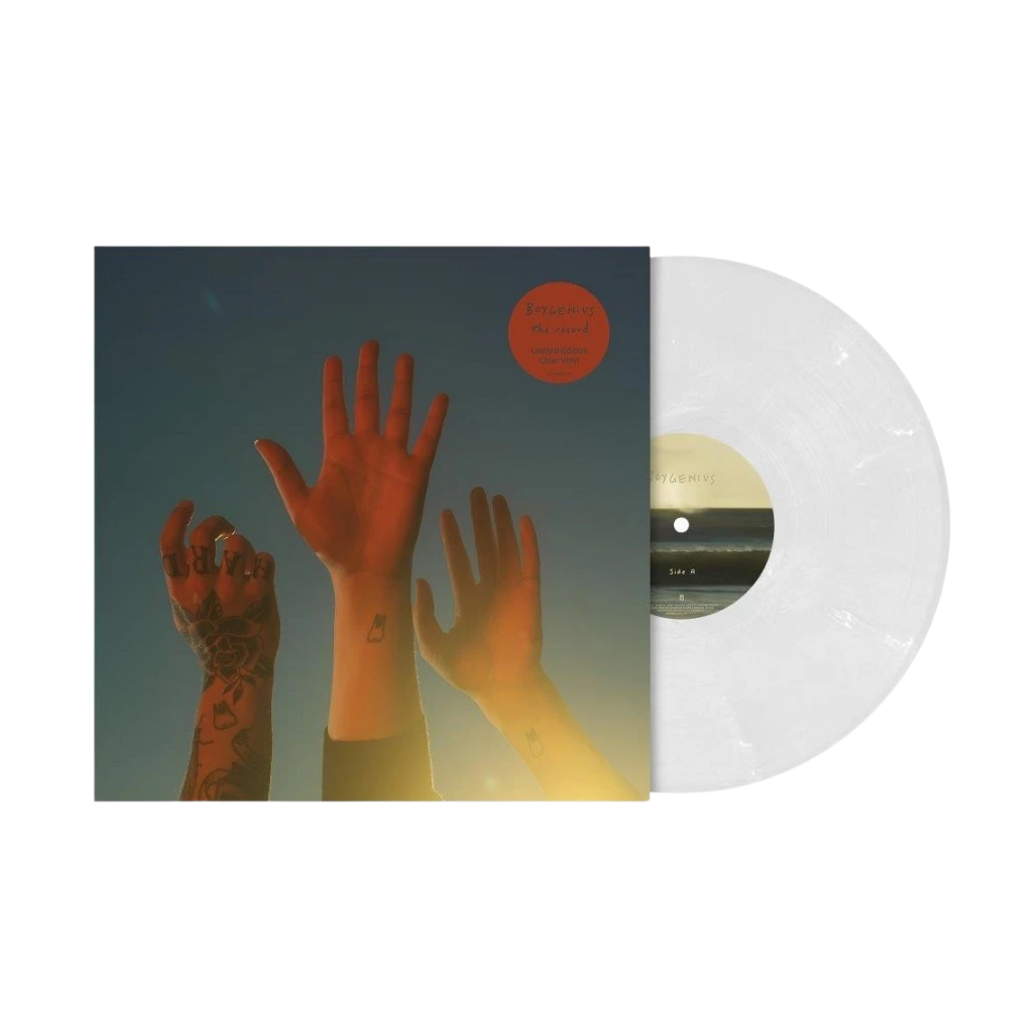 BOYGENIUS - The Record