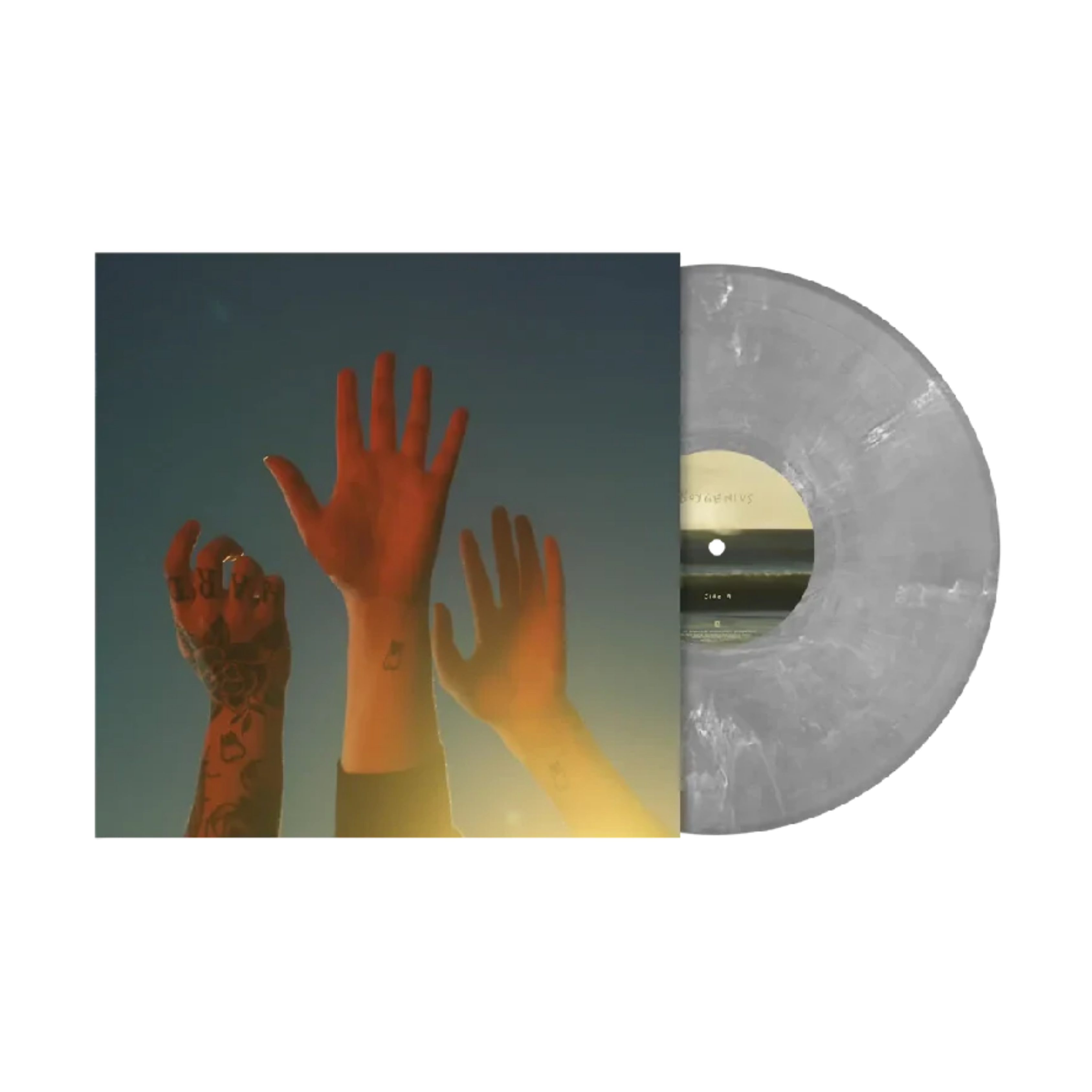 BOYGENIUS - The Record