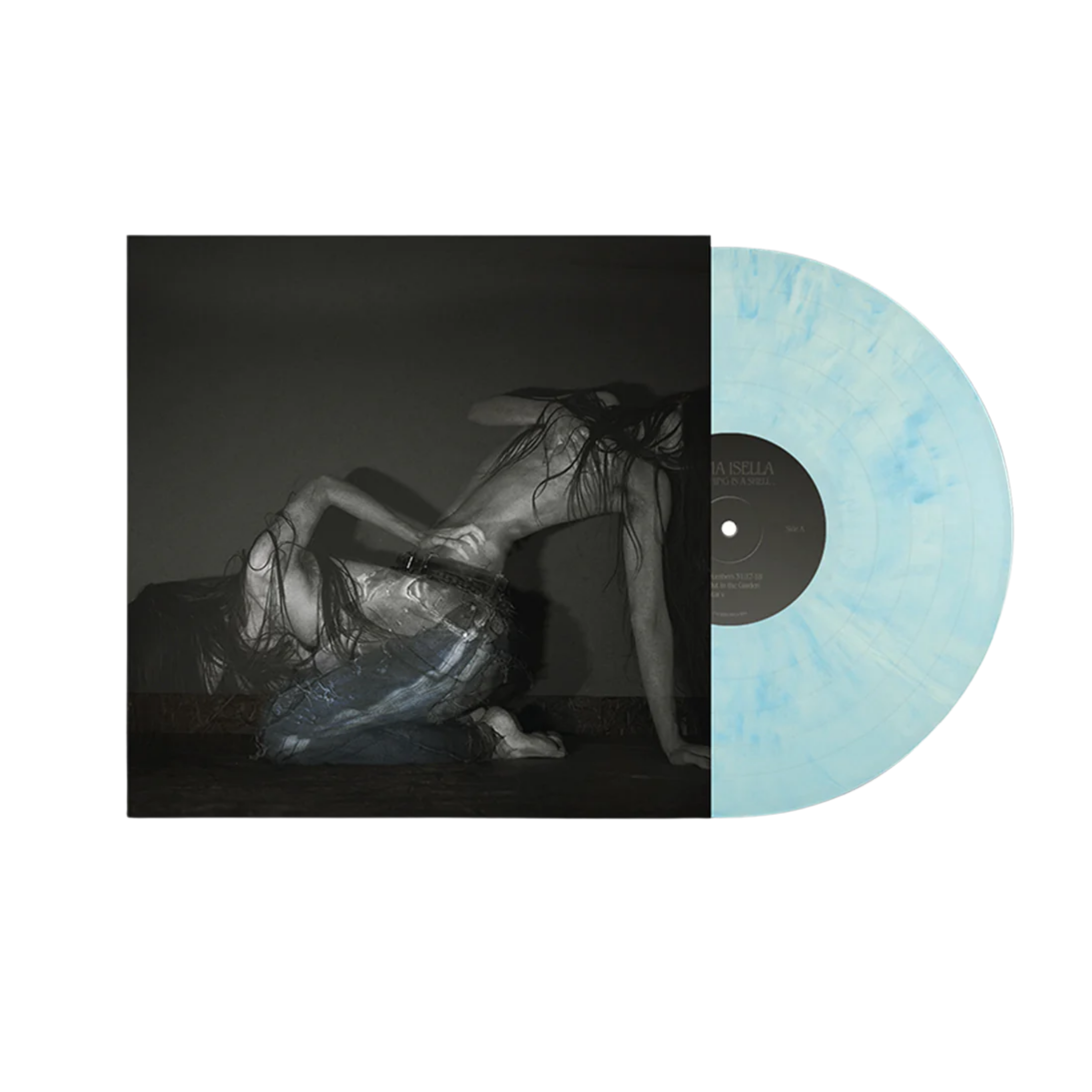 SOFIA ISELLA - Something is a Shell