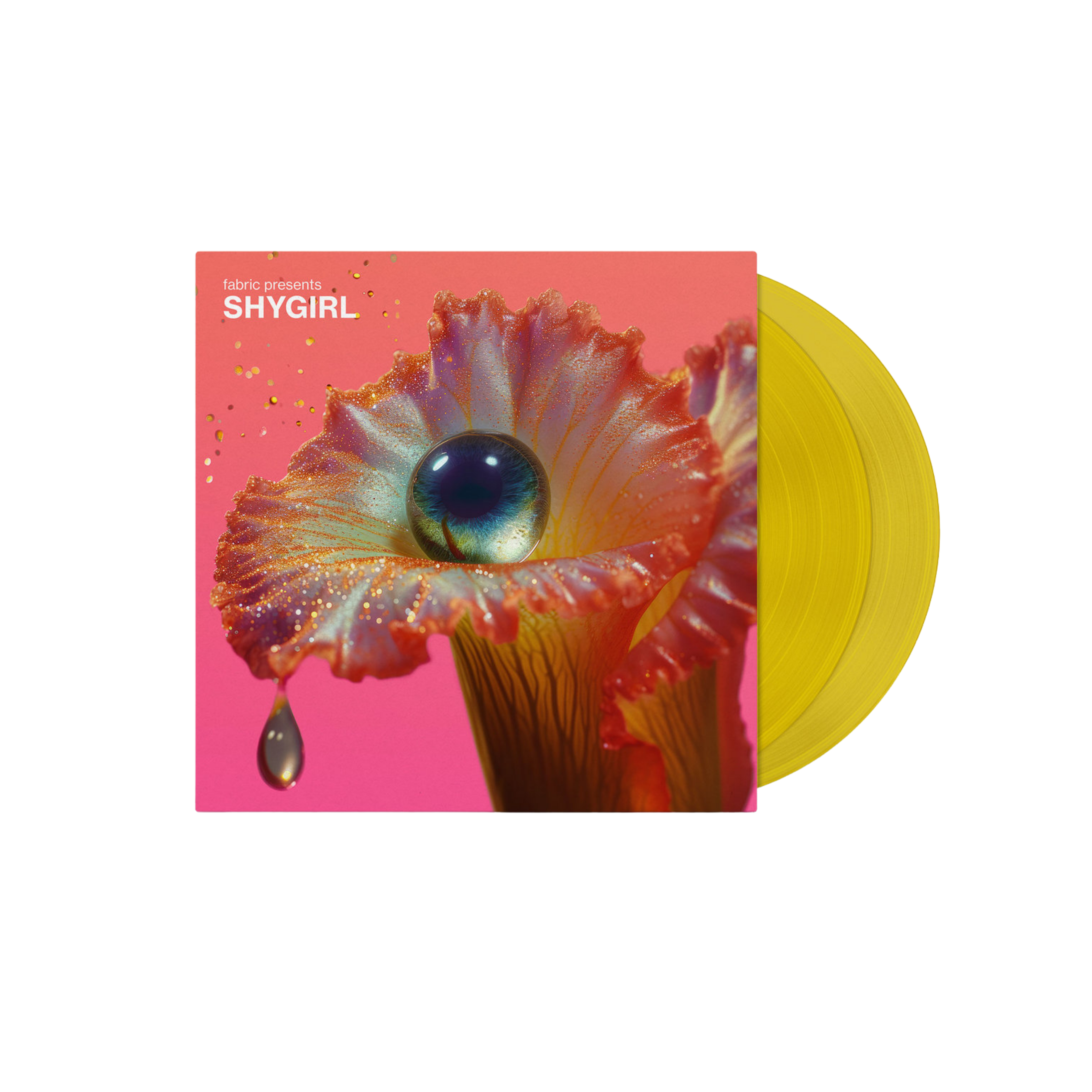 SHYGIRL - Fabric Presents Shygirl