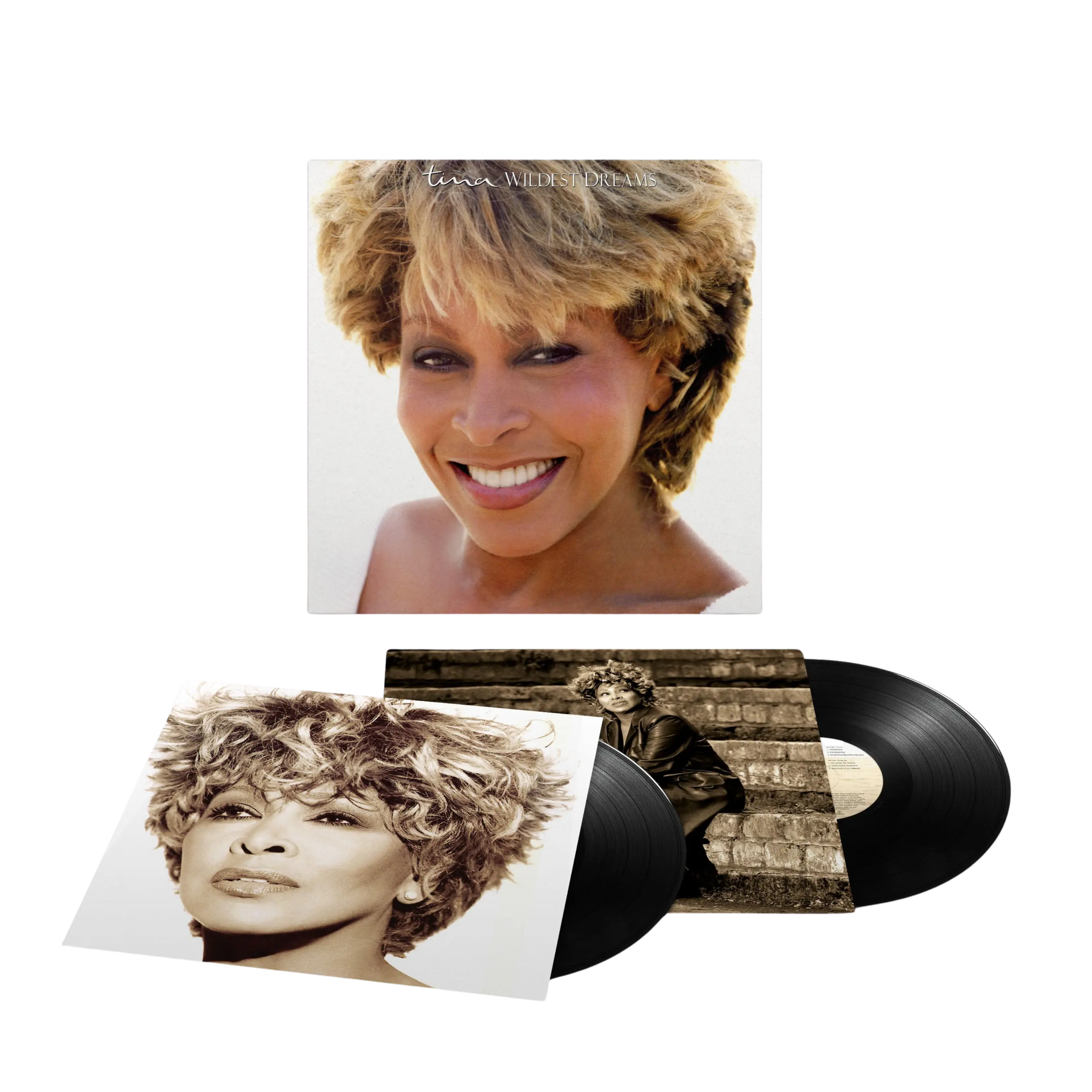 TINA TURNER - Wildest Dreams